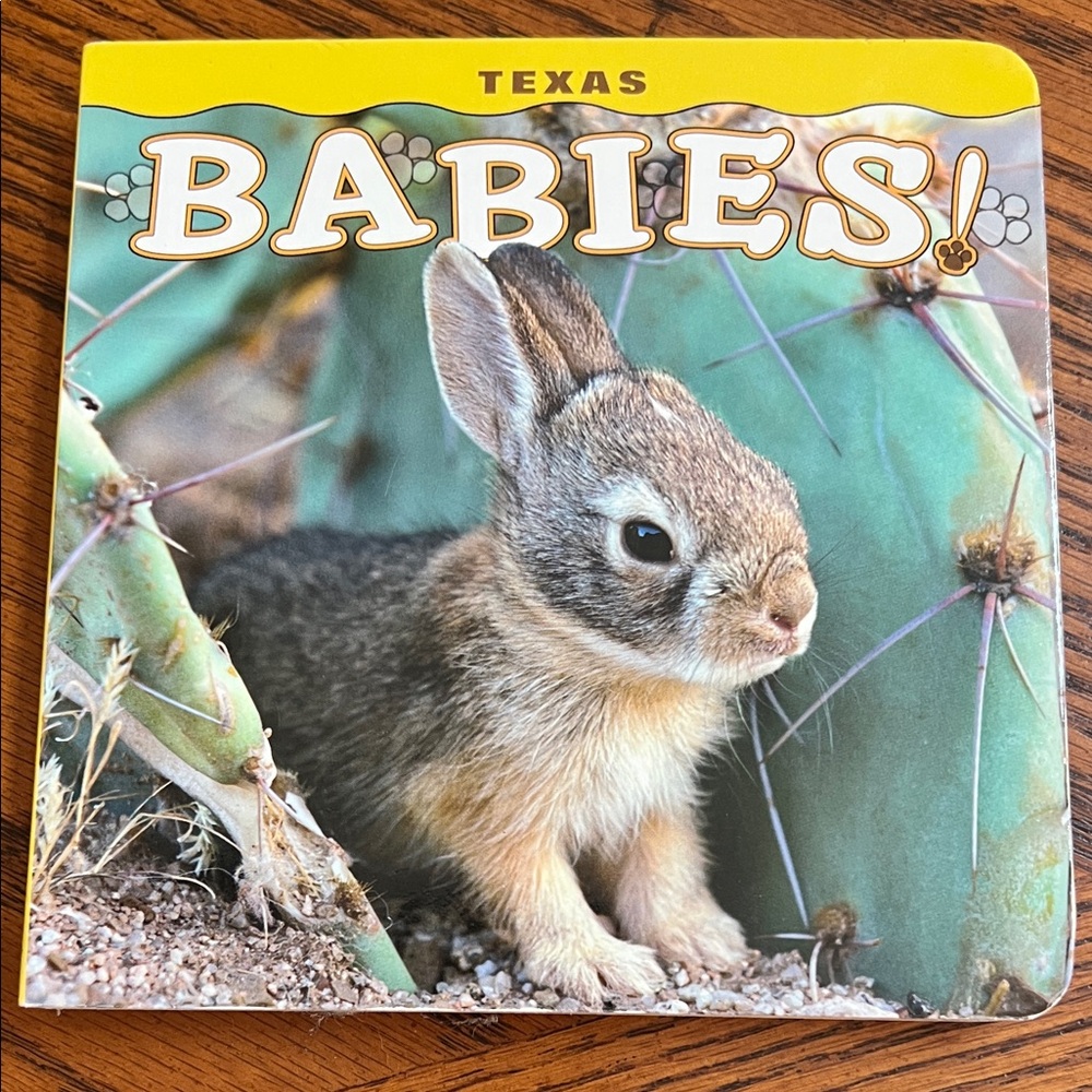 NWOT-Texas Babies Board Book